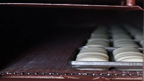 Bread Factory Stock Footage 108622822
