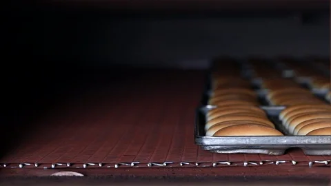 Bread Factory Stock Footage 108623166