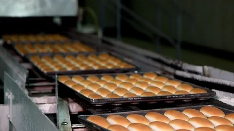 Bread Factory Stock Footage
