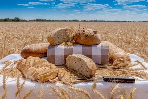Bread in a field of wheat Foto stock