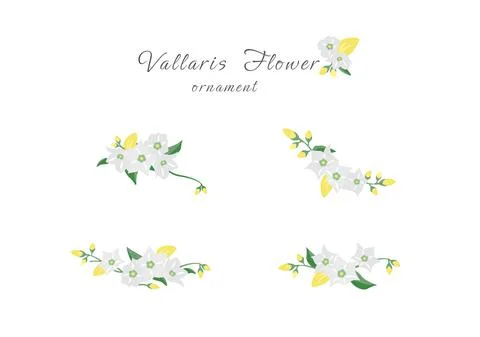 Bread floral ornament vector collection 02 Stock Illustration