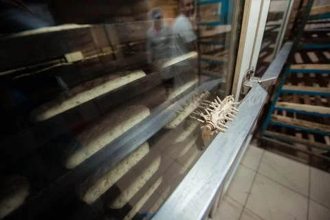 Bread goods from raw dough in proofing cabinets Stock Photos
