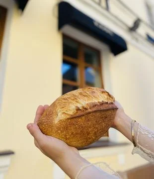 Bread in hands on background Stock Photos