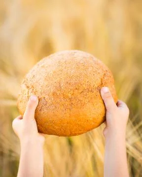 Bread in hands Stock Photos