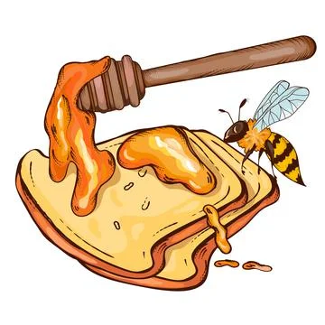 Bread with honey and bee, hand drawn vector illustration isolated. Stock Illustration