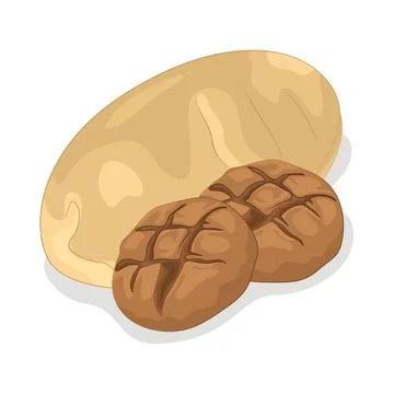 Bread Illustration Stock Illustration