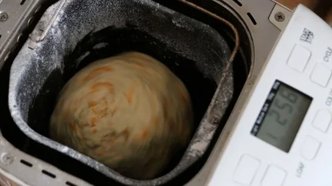 Bread Makes a Dough. Stock Footage 101244430