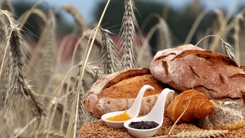 BREAD MARMELADE CROISANT BUN Stock Footage 288384967