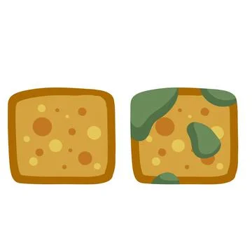 Bread with mold. Incorrect storage of the product. Stock Illustration