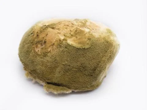 Bread is moldy Stock Photos