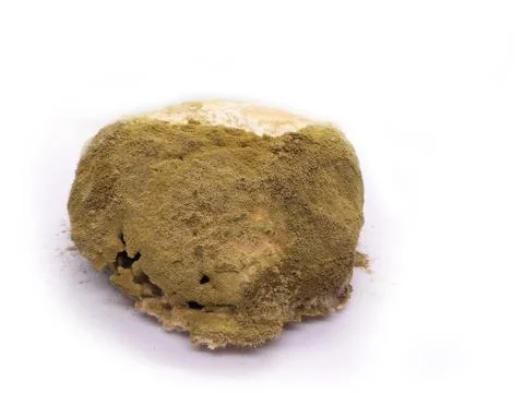 Bread is moldy Stock Photos