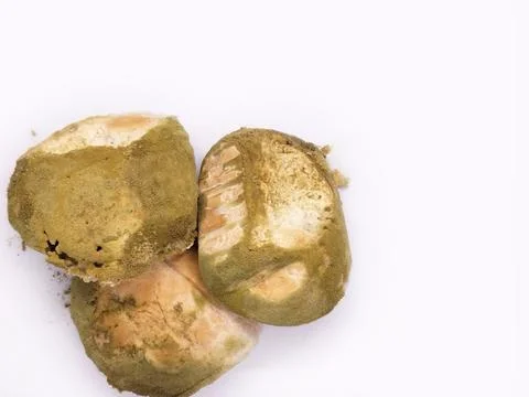 Bread is moldy Stock Photos