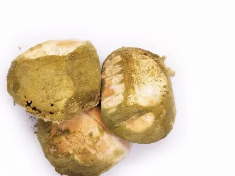 Bread is moldy Stock Photos