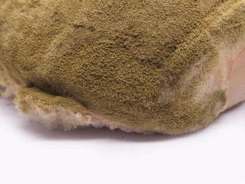 Bread is moldy Foto stock