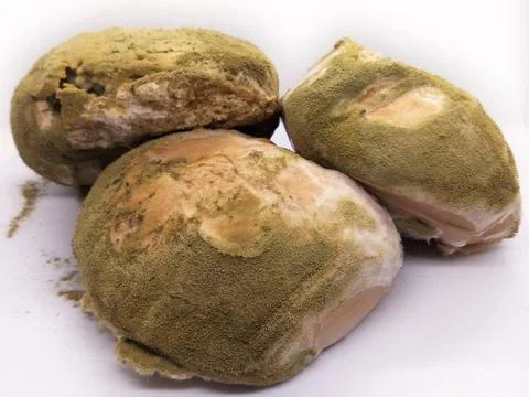 Bread is moldy Stock Photos