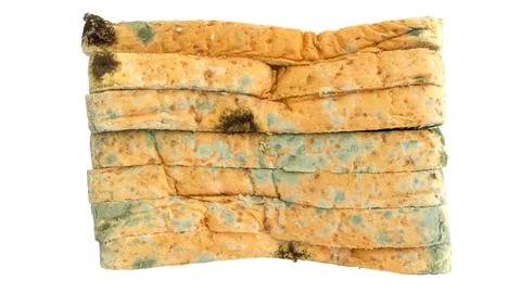 Bread moldy on a white background. Stock Photos