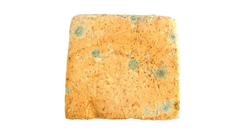 Bread moldy on a white background. Stock Photos