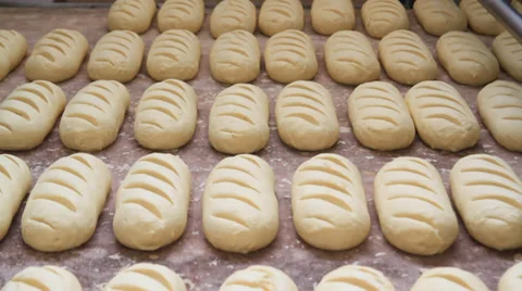 Bread moving on bakery machine 스톡 동영상 30049240