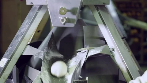 Bread moving on a conveyor belt, ready for baking in bakery Stock Footage 70749946