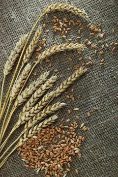 Bread on old background Stock Photos
