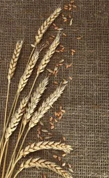 Bread on old background Stock Photos