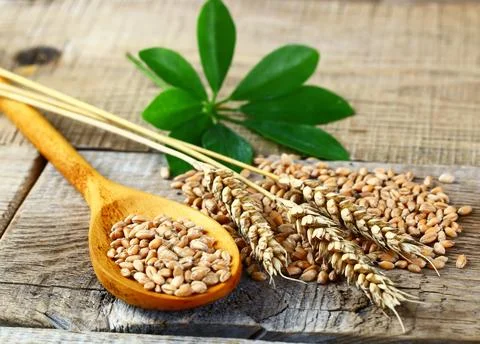 Bread on old background Stock Photos