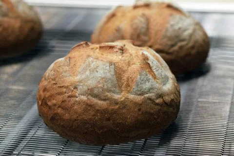 Bread Stock Photos