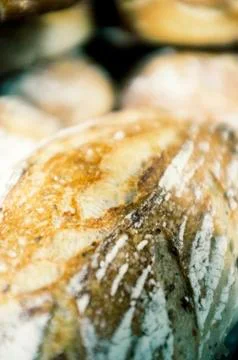 Bread Stock Photos