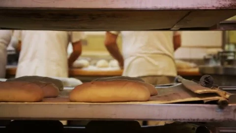 Bread preparation at bakery Stock Footage 69164650