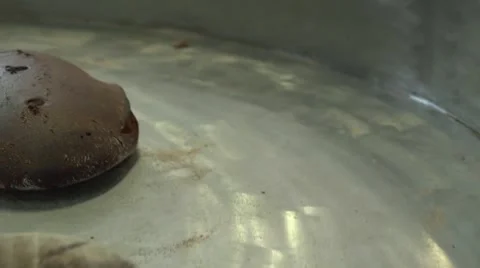 Bread prepared on a circular conveyor.mp4 動画素材 48941817