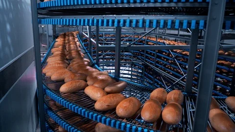Bread production at the bakery, fresh baked bread 스톡 동영상 104100151