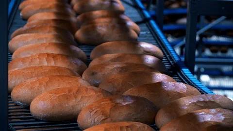 Bread production at the bakery, fresh baked bread 스톡 동영상 104100164