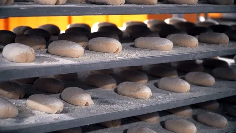 Bread production at the bakery, fresh baked bread 스톡 동영상 104100320