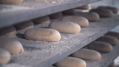 Bread production at the bakery, fresh baked bread 스톡 동영상 104100345