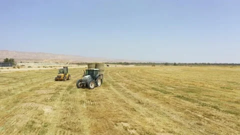 Bread production concept. Flying above golden field of bales of mowed hay. Piles Stock Footage 155627032