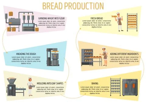 Bread production infographic vector flat style design 스톡 일러스트