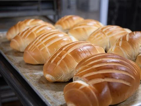 Bread in production inside the bakery Foto stock