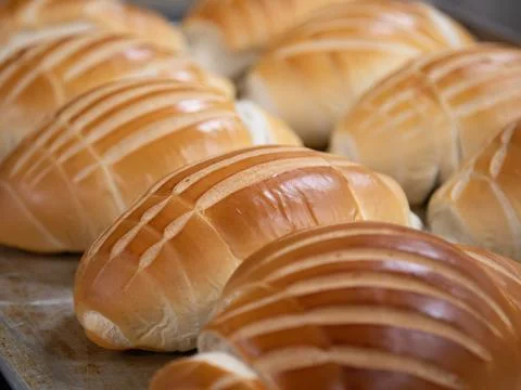 Bread in production inside the bakery Stock Photos