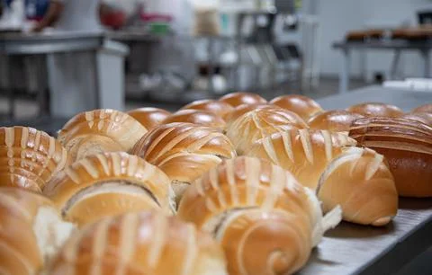 Bread in production inside the bakery Stock Photos