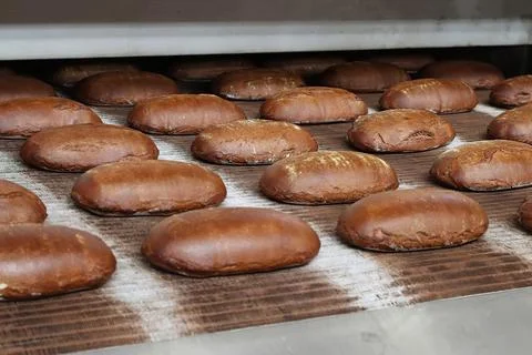 Bread production line. Fresh bread on the conveyor belt Stock Photos