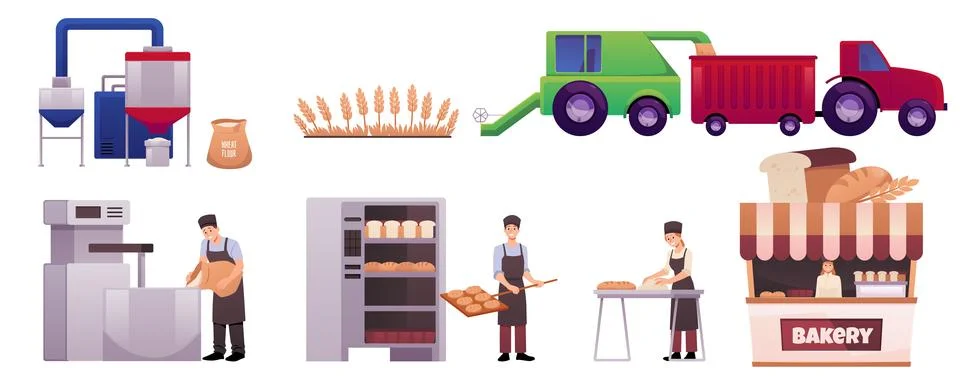 Bread production process, combine harvests wheat fields, manufacture machine on Stock Illustration