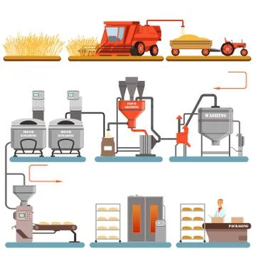 Bread production process stages from wheat harvest to freshly baked bread vector Stock Illustration