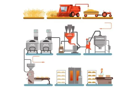 Bread production process stages from wheat harvest to freshly baked bread vector Stock Illustration