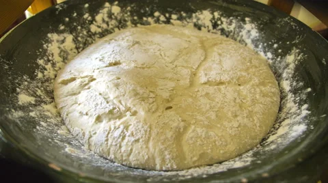 Bread Proofing - Yeast Dough Fermentation Time Lapse Stock Footage 47266602