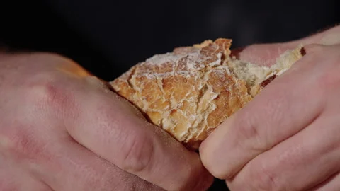 Bread Roll Torn Apart Stock Footage 254598012
