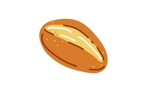 Bread rolls for brunch in germany or sunday buns.Vector illustration Stock Illustration