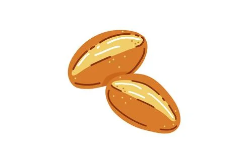 Bread rolls for brunch in germany or sunday buns.Vector illustration Stock Illustration