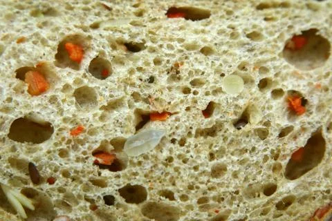 Bread with seeds and grains, the pulp of the cut piece as a background. Stock Photos