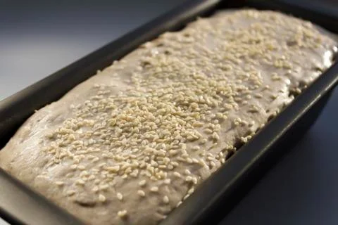 Bread in the shape before baking The bread dough Stock Photos