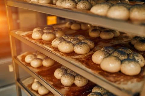 Bread on the shelves is being prepared for baking in the oven. Production of  Stock Photos